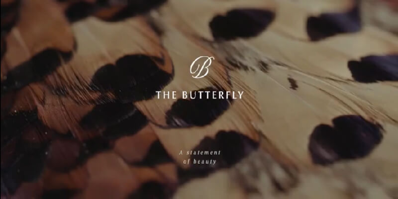 ذا بترفلاي المستقبل سيتي The Butterfly Mostakbel City